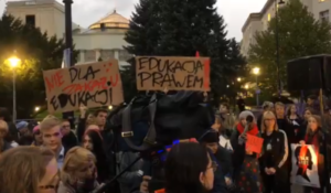 protest pod Sejmem przeciw ustawie "Stop pedofilii"/ fot. screen