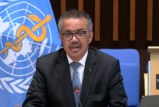 R. Wicherek: The defeat of the anti-pandemic treaty