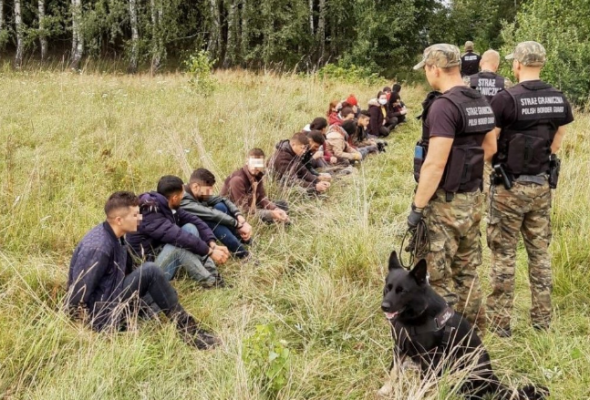 K. Baliński: Rżną głupa a nachodźców kupa