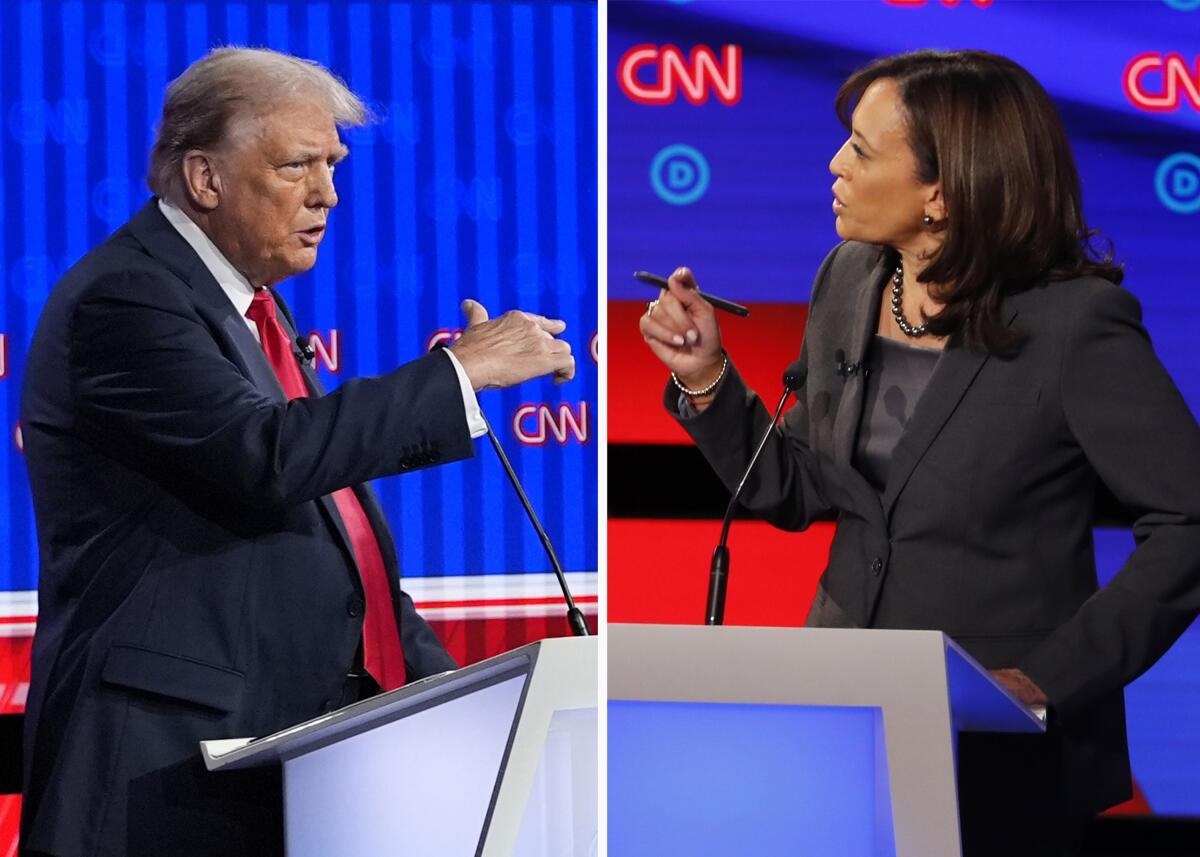 J. Matysiak from the USA: Trump vs. Harris. The situation before the debate